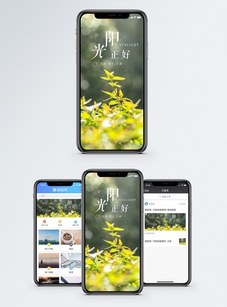青草阳光正好手机海报配图模板
