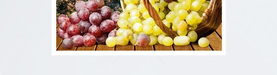 葡萄水果淘宝主图图片