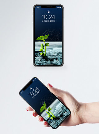 简约特写发芽手机壁纸模板