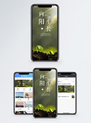 发芽向阳生长手机海报配图模板
