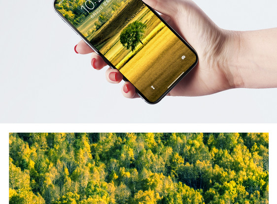 风景树林手机壁纸图片