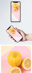 柠檬静物手机壁纸图片