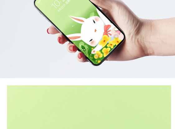 兔子手机壁纸图片