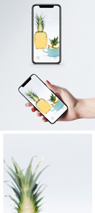 菠萝手机壁纸图片