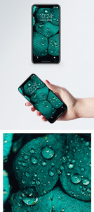 露水绿叶手机壁纸图片