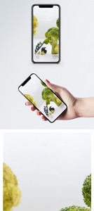 创意蔬菜手机壁纸图片