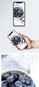 新鲜蓝莓手机壁纸图片