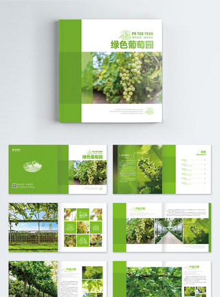 绿色葡萄园画册整套图片