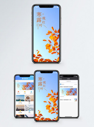 红叶节寒露手机海报配图模板
