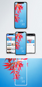 红叶手机海报配图图片
