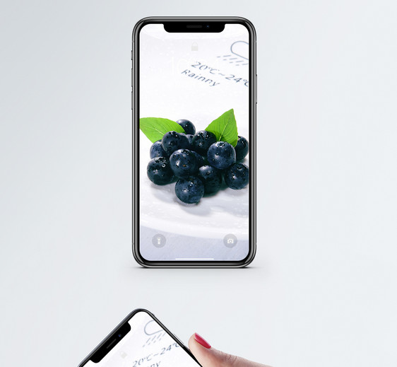 蓝莓水果手机壁纸图片