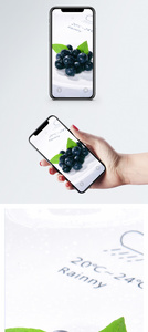 蓝莓水果手机壁纸图片