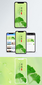 寒露手机配图海报图片