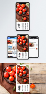 霜降节气手机海报配图图片