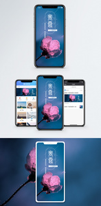 寒露手机海报配图图片