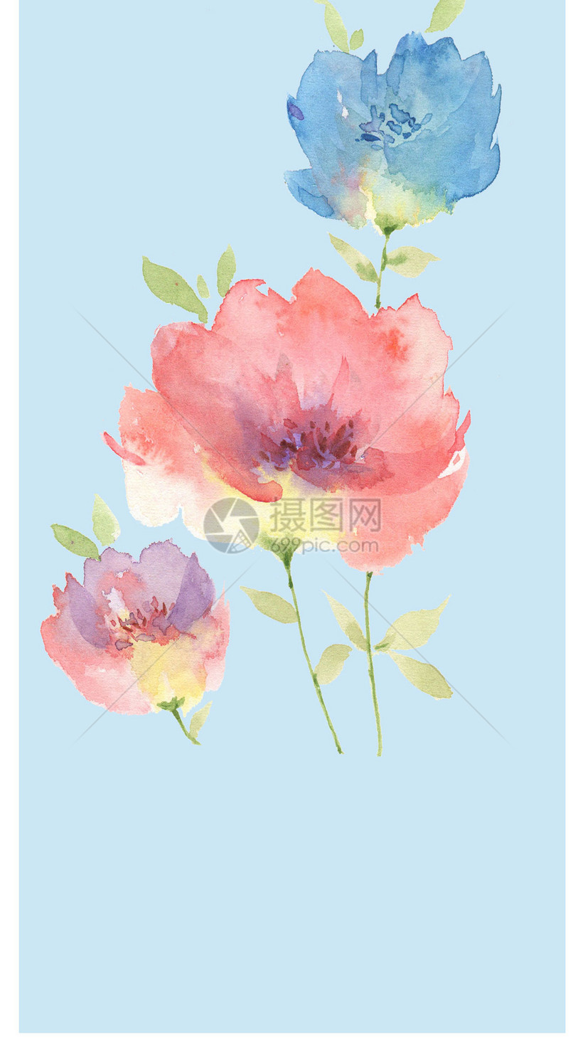 水彩花卉手机壁纸模板素材 正版图片 摄图网