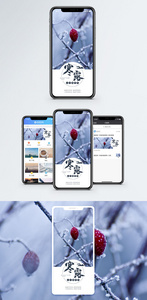 二十四节气寒露手机海报配图图片