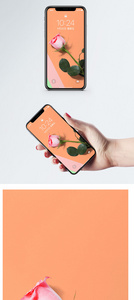 玫瑰手机壁纸图片