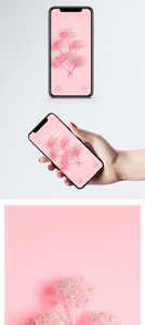 小清新手机壁纸图片