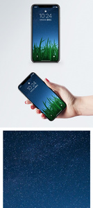 星空植物手机壁纸图片