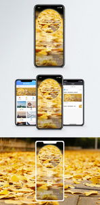 早安秋天手机海报配图图片