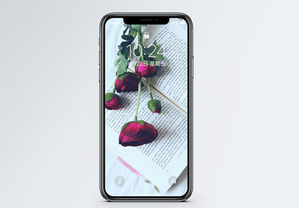 玫瑰与书手机壁纸图片