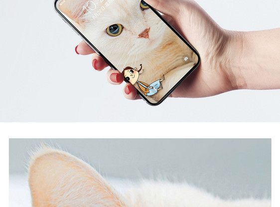 猫咪手机壁纸图片