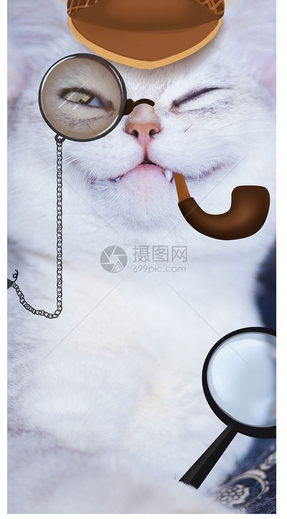 猫咪手机壁纸图片