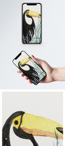 啄木鸟手机壁纸图片