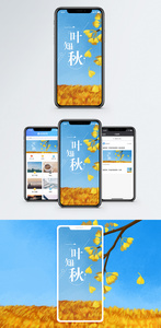 一叶知秋手机海报配图图片