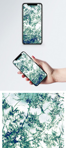 柳树背景手机壁纸图片