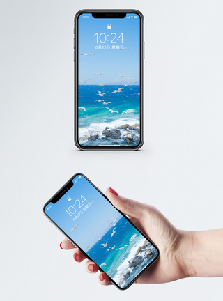 竖版海景海鸥手机壁纸模板