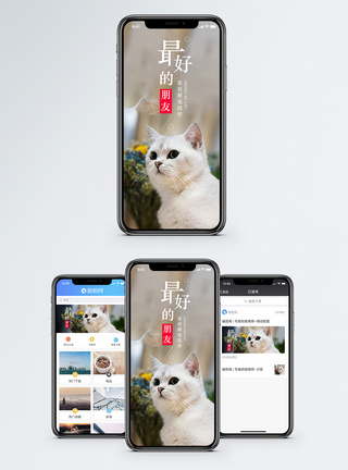 家有萌宠手机海报配图图片