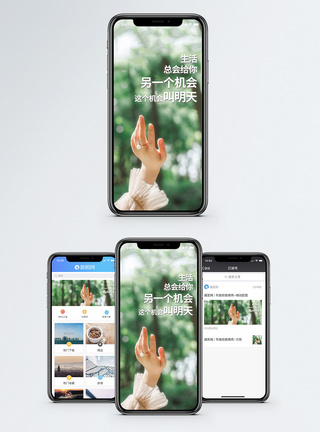 树木阳光抓住机会手机海报配图模板