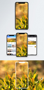 你好十月手机海报配图图片