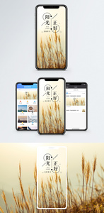 阳光手机海报配图图片