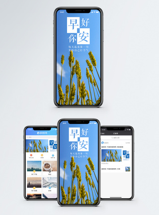 小麦早安你好手机海报配图模板