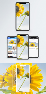 早安手机海报配图图片