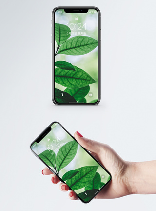 光和绿叶手机壁纸图片