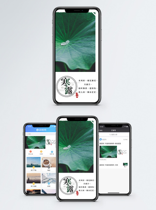 寒露手机海报配图图片