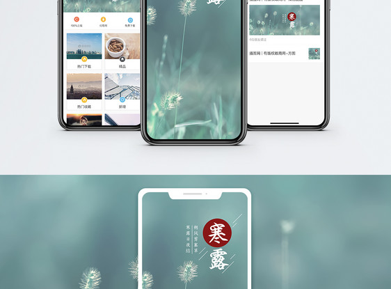 寒露手机海报配图图片