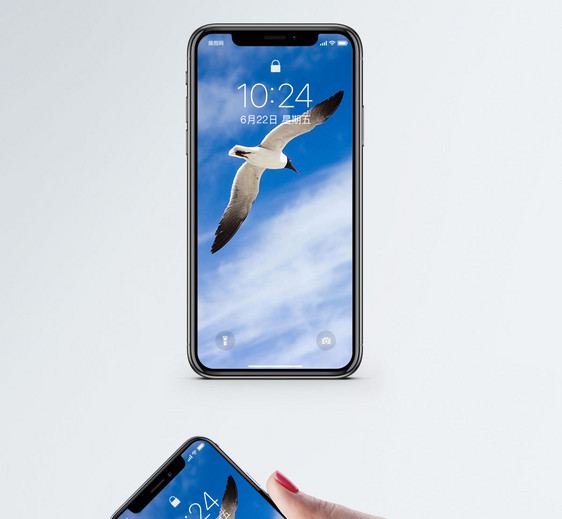 空飞翔的鸟手机壁纸图片