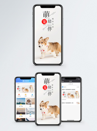 狗萌宠陪伴手机海报配图模板