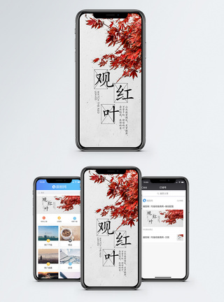 立秋观红叶手机配图海报模板