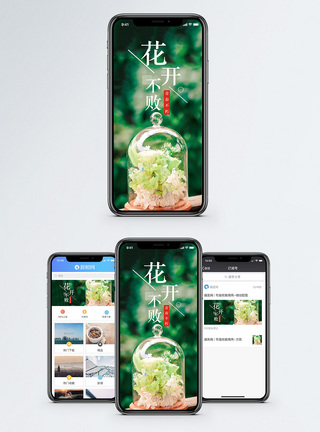花朵绽放花开不败手机海报配图模板