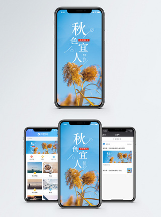 秋色宜人手机海报配图图片