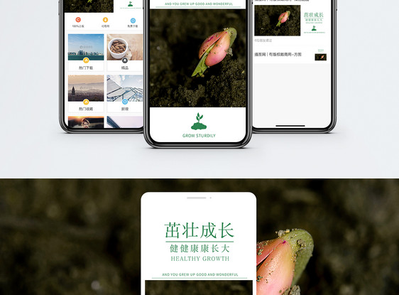 茁壮成长手机海报配图图片