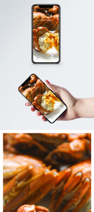 大闸蟹手机壁纸图片