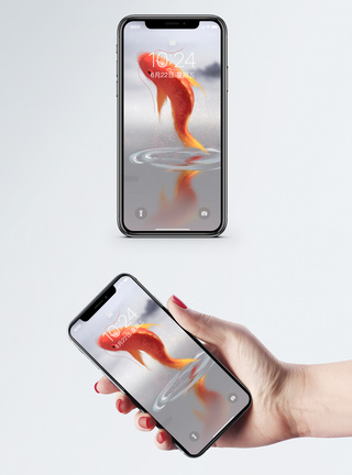 鲤鱼手机壁纸图片