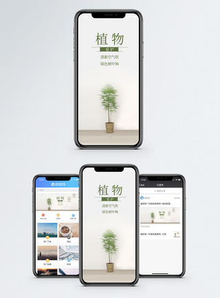 甲醛净化植物手机海报配图模板